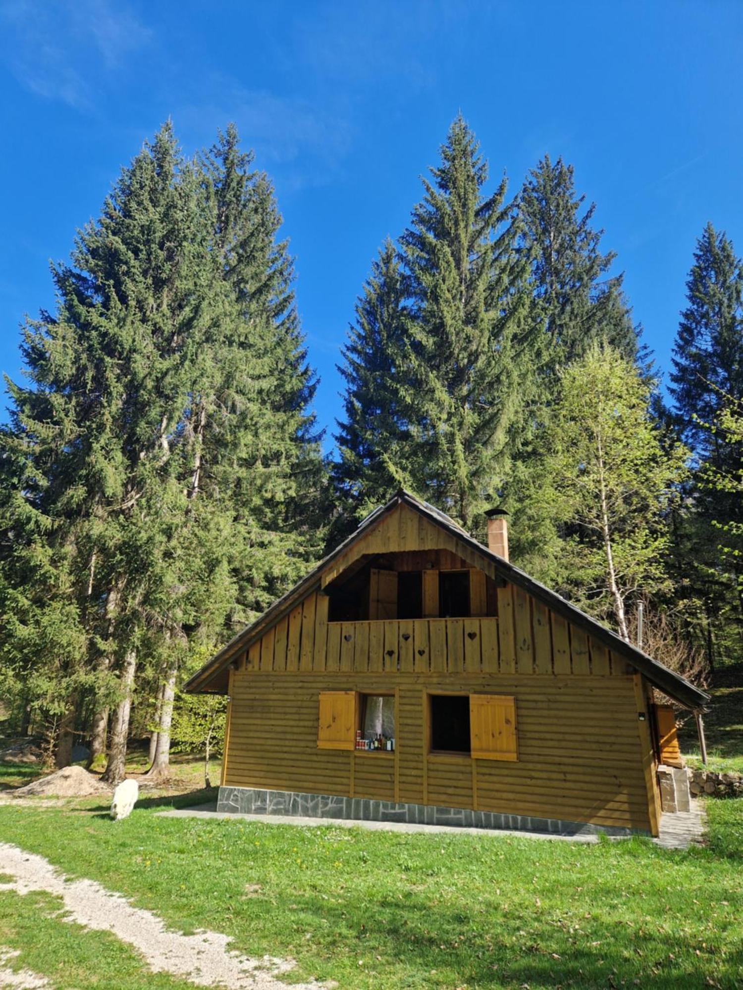 Koca V Gozdu, Forest House Near Bled Bagian luar foto