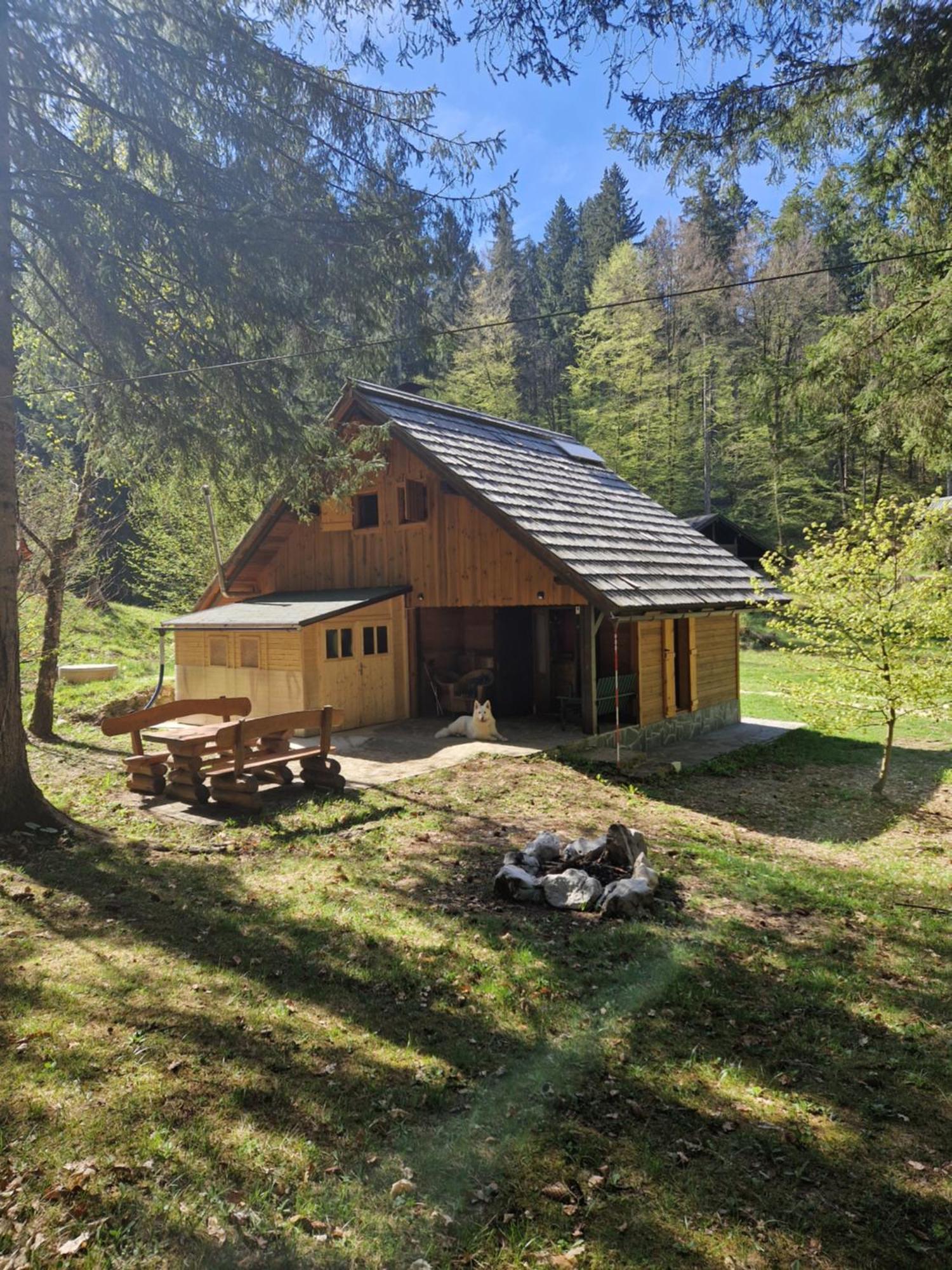 Koca V Gozdu, Forest House Near Bled Bagian luar foto