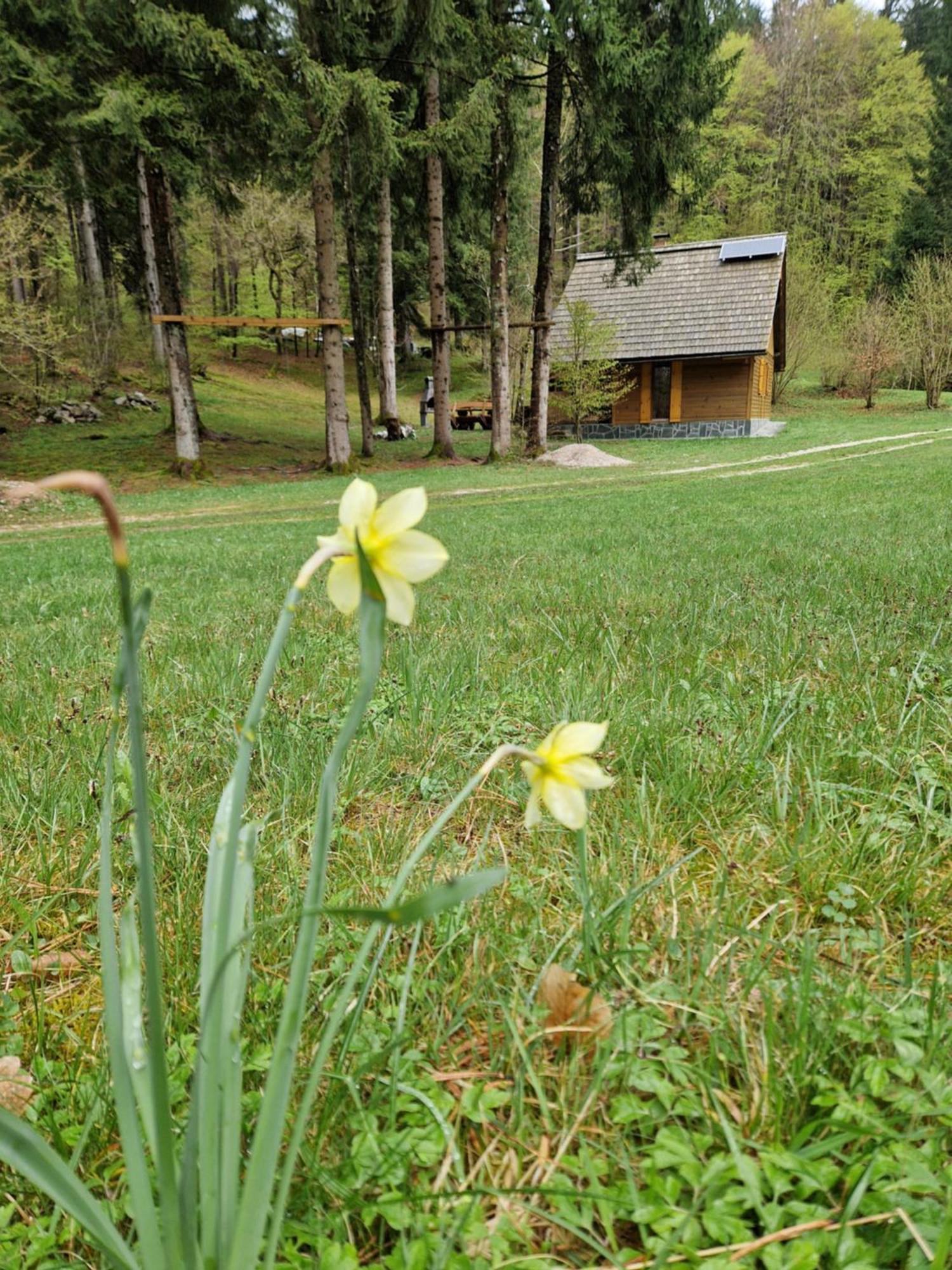 Koca V Gozdu, Forest House Near Bled Ruang foto