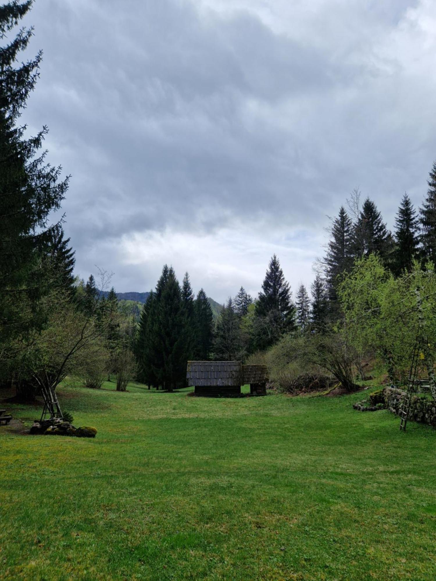 Koca V Gozdu, Forest House Near Bled Ruang foto